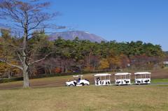 モーモートレイン　aIMGP9046b