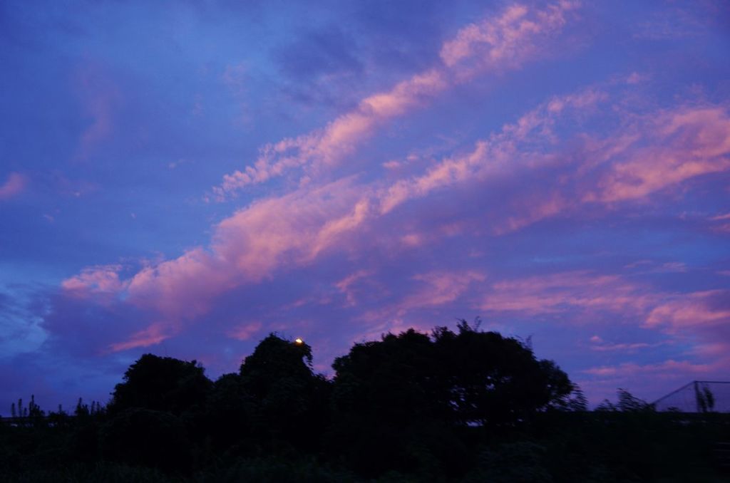 夕焼け