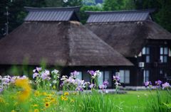 茅葺きの家