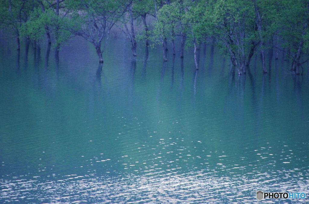 蒼い湖　IMGP5752