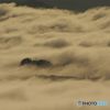 天空の森　それとも 天空の山？