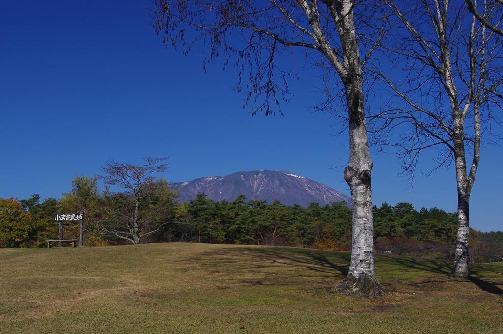 小岩井の丘　aIMGP9053b