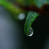 水滴