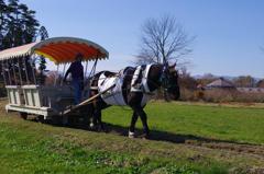 トロ馬車　aIMGP9030b