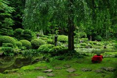 玉川寺庭園　IMGP3617