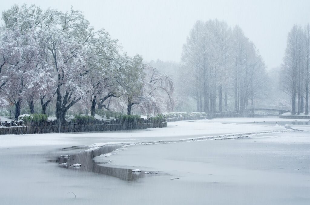 雪景色