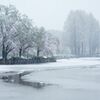 雪景色