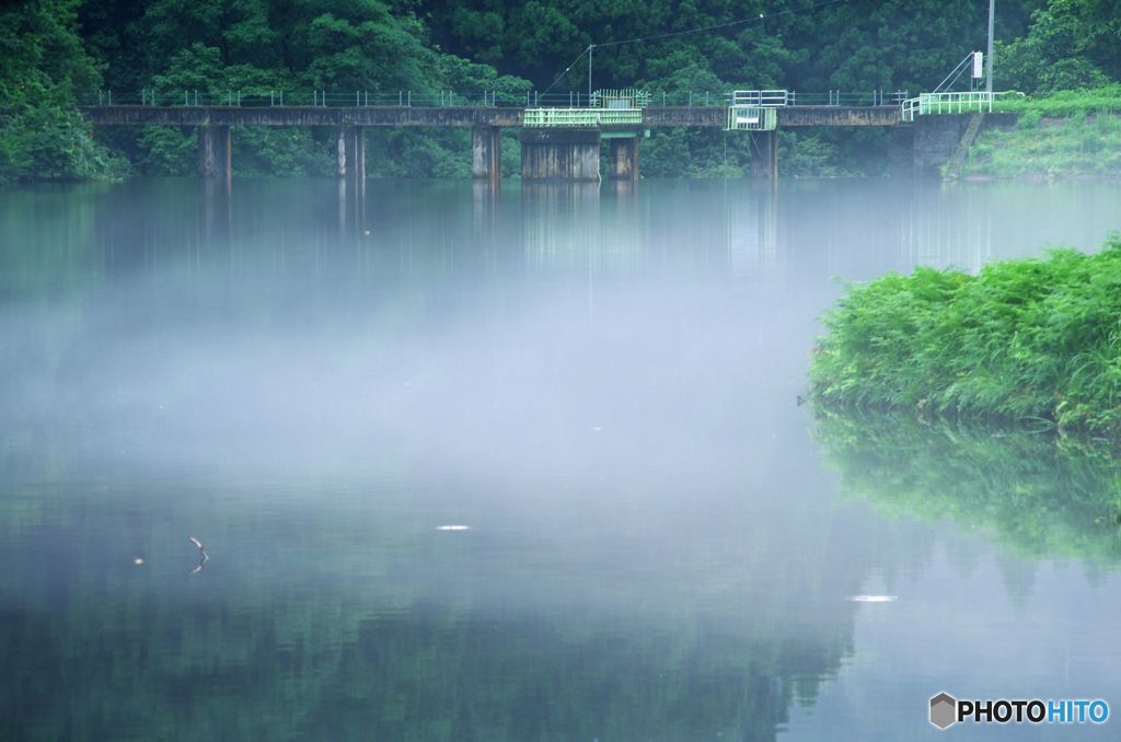 あさ・モヤ　IMGP7437