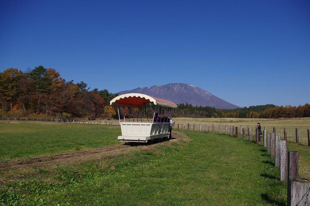 トロ馬車　aIMGP9036b