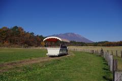 トロ馬車　aIMGP9036b