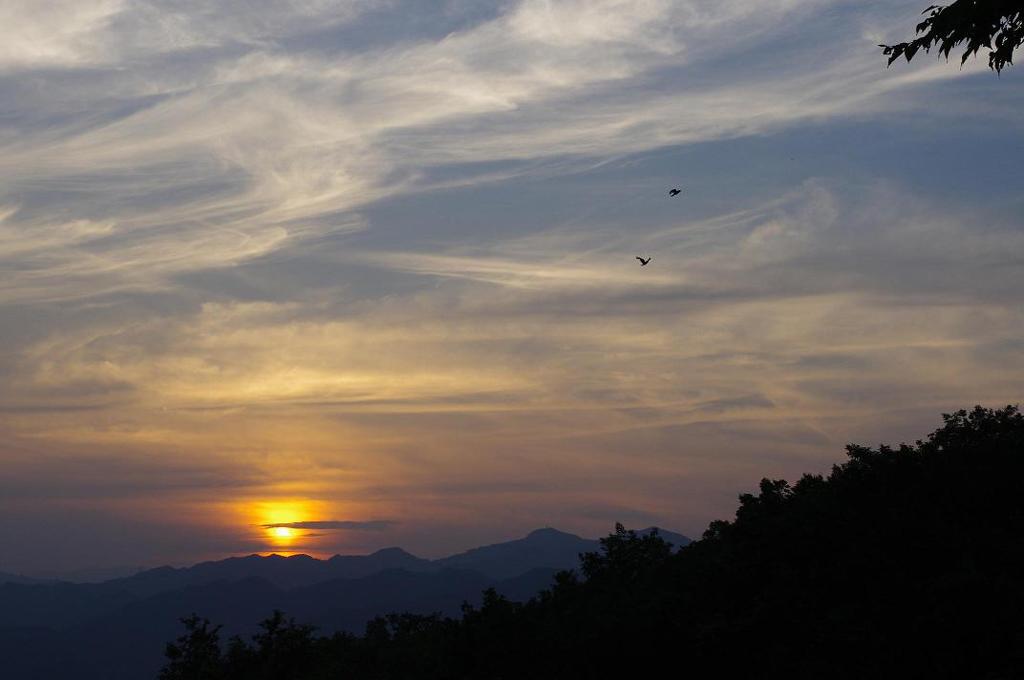 夕日　aaIMGP6118b