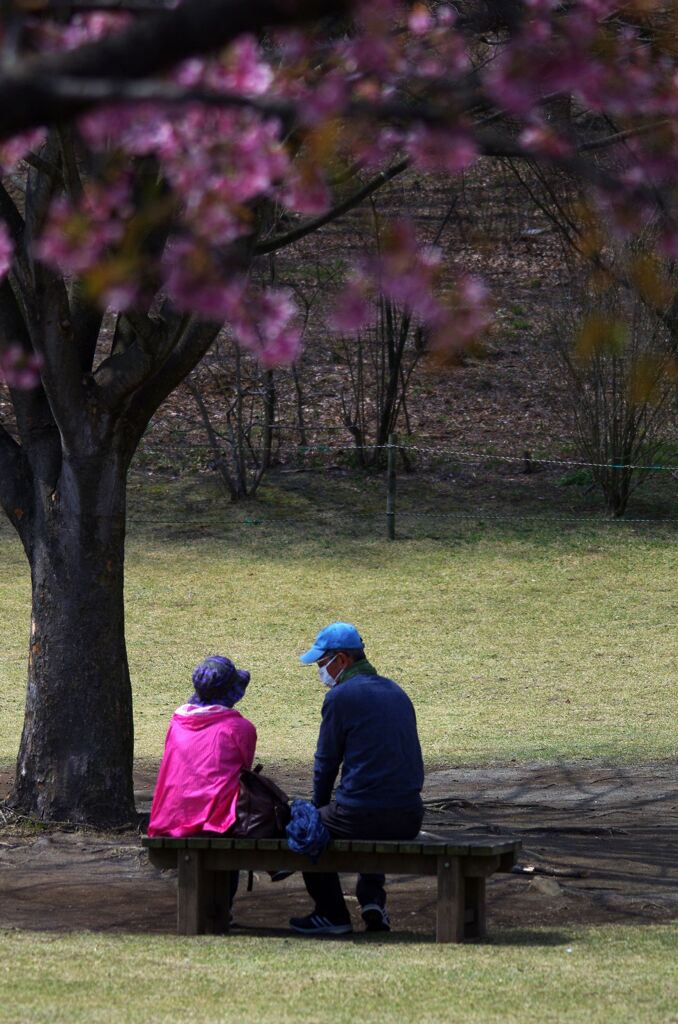 語り合う