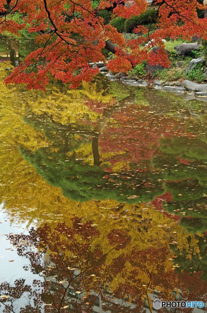 紅葉　IMGP0280