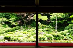 玉川寺庭園　　IMGP3631
