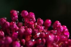 水滴