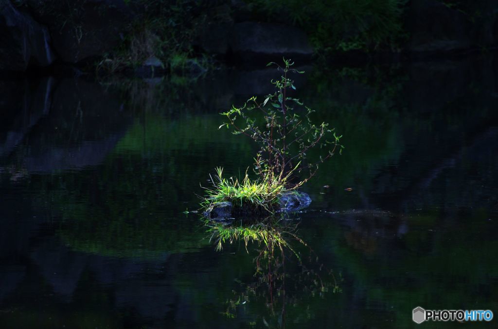 日当たり　IMGP9785