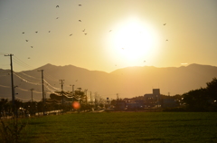 夕焼け