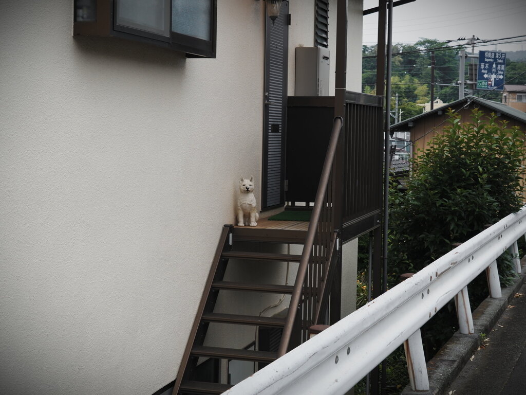 まなざし