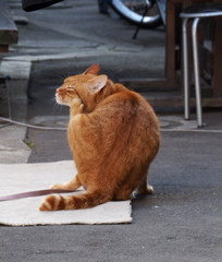 んー　ここ、ここ！