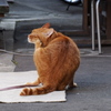 んー　ここ、ここ！