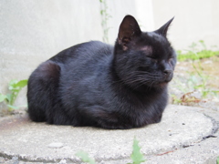 眠たいんです