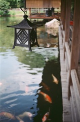 三景園にて