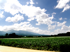 野辺山