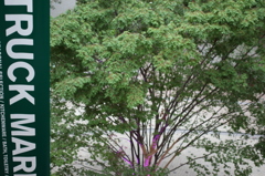 木
