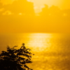 夕暮れ