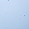 静かに舞い落ちて
