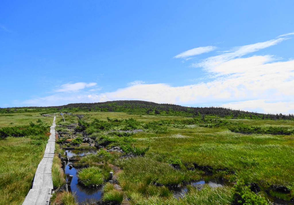 西吾妻山　藤十郎