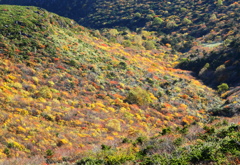 安達太良　紅葉