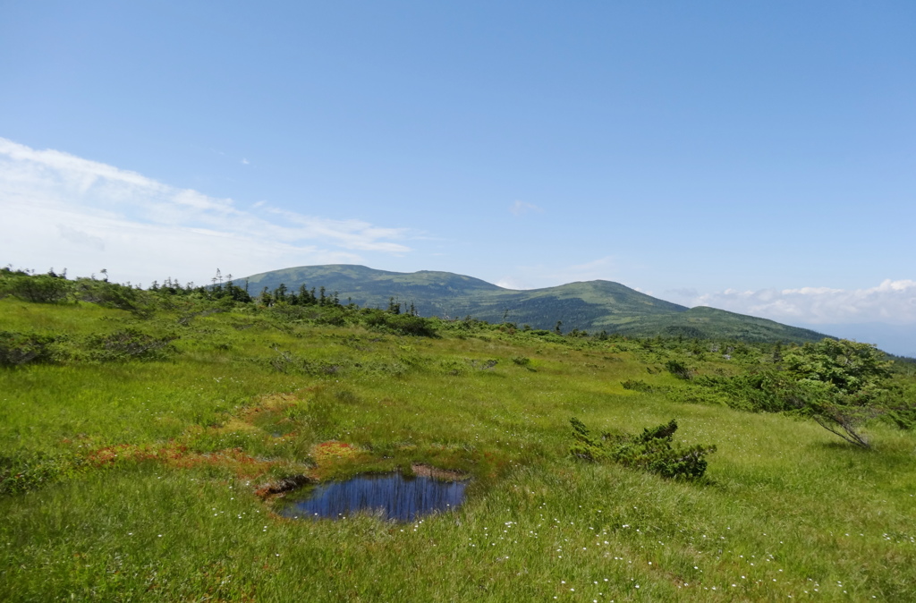 吾妻連峰東大巓　弥兵衛平
