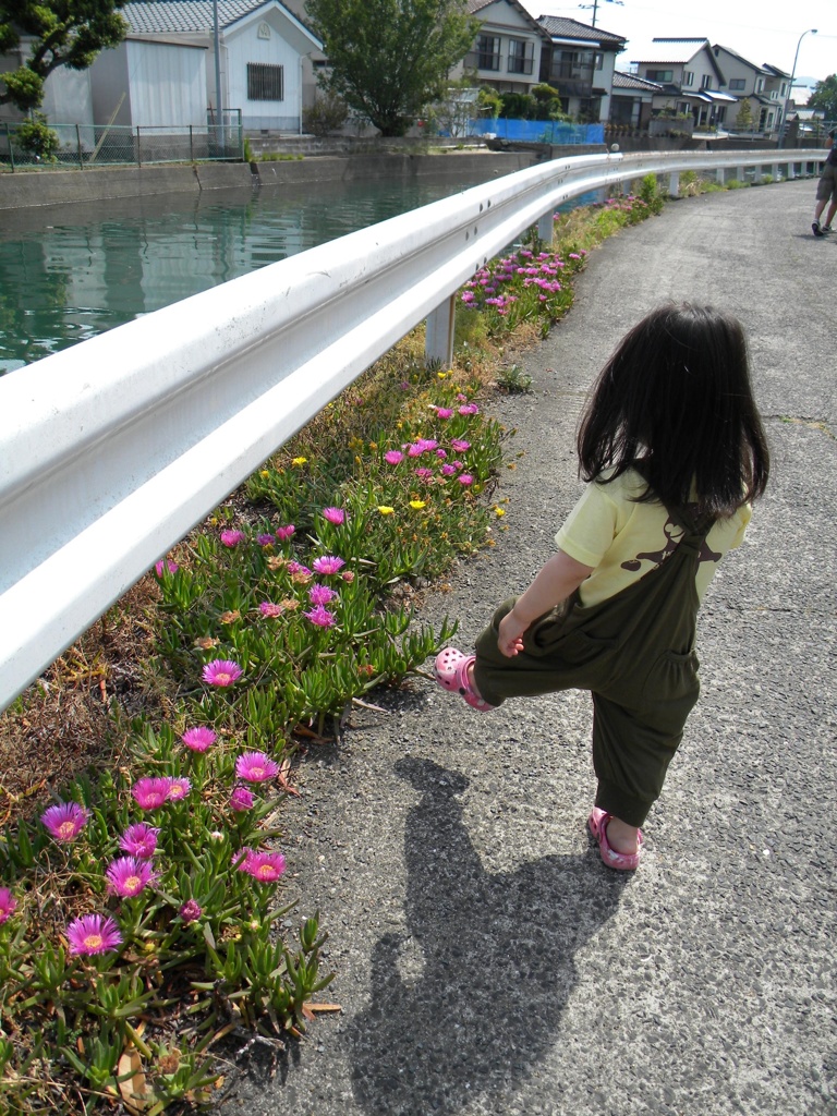 散歩道