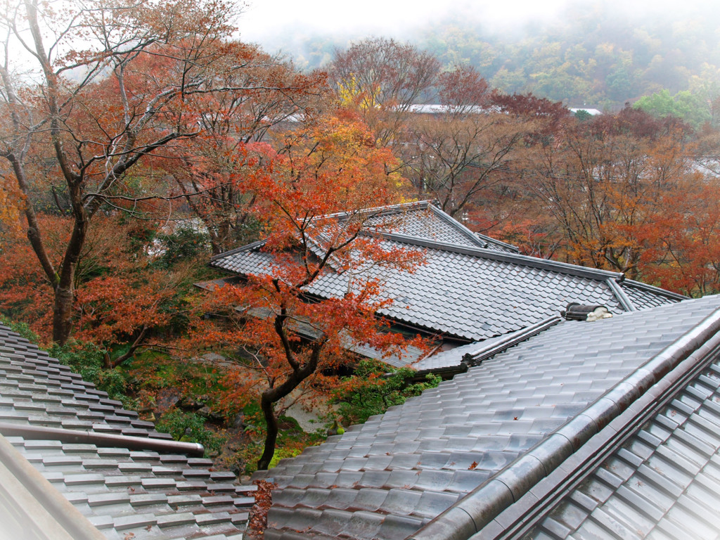 京都瑠璃光院にて　3