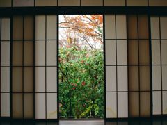 京都瑠璃にて　5