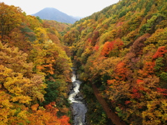 裏磐梯・中津川渓谷