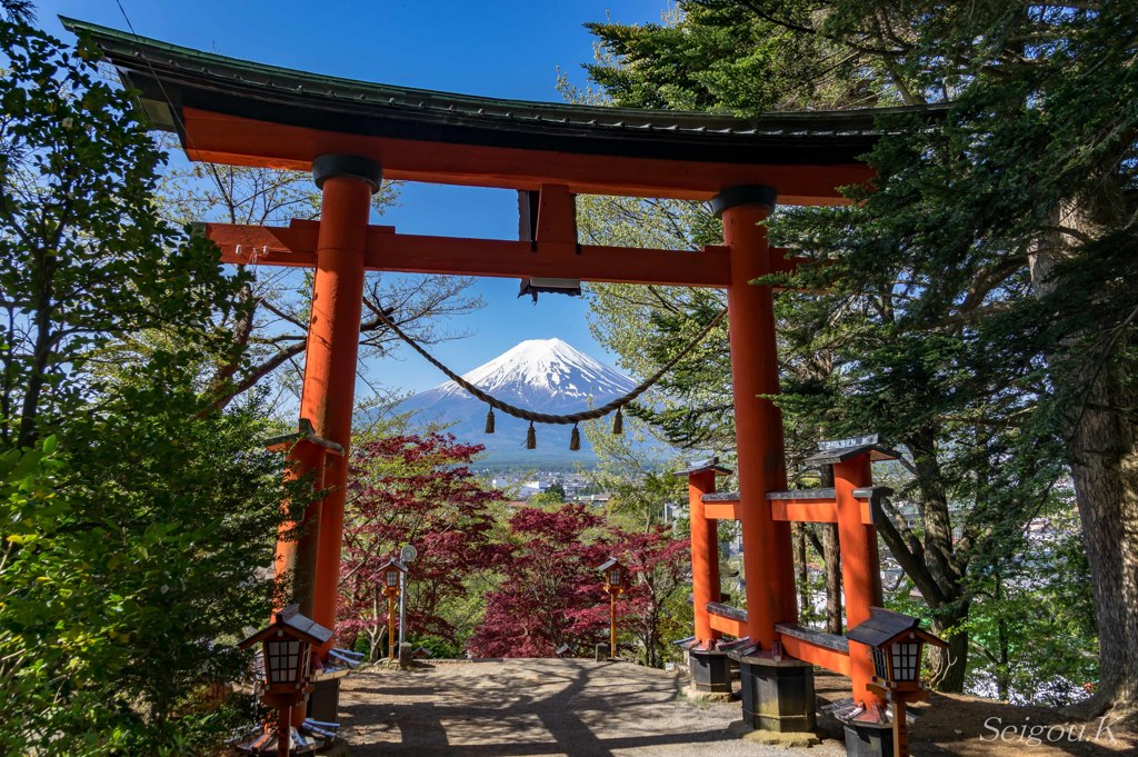 鳥居富士