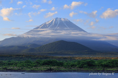 朝日を浴びて