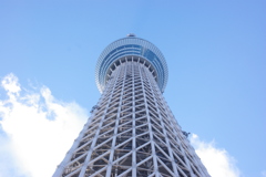 空高く