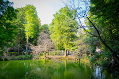 井の頭公園