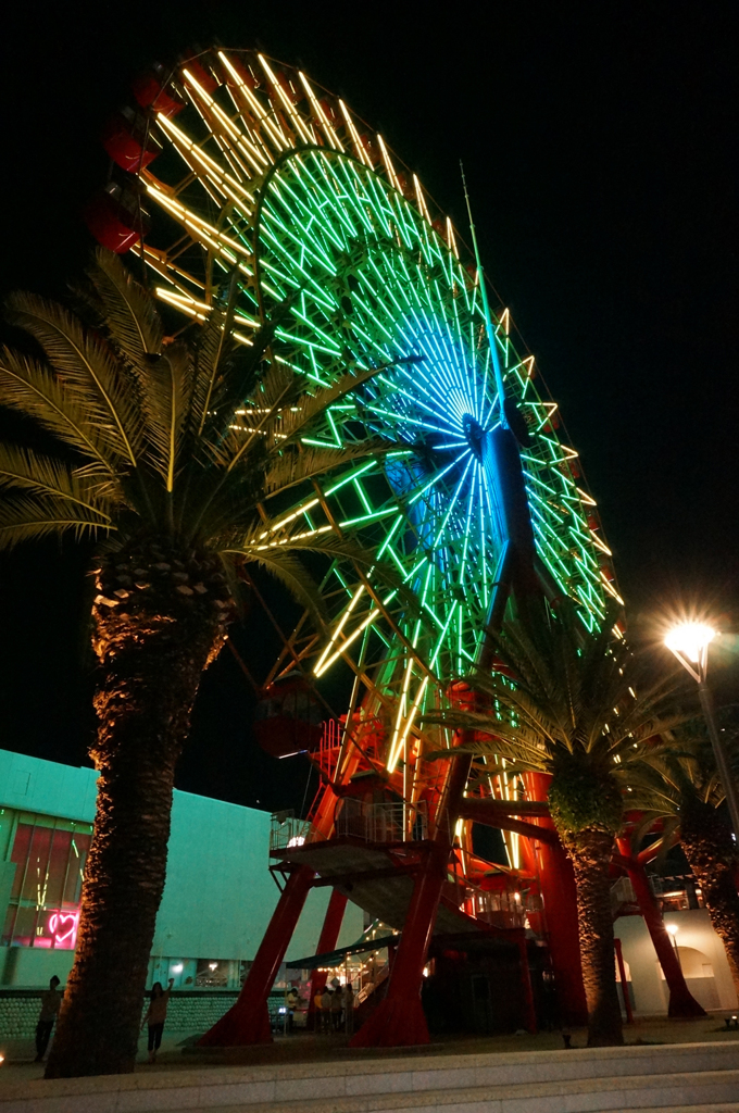 DSC00900