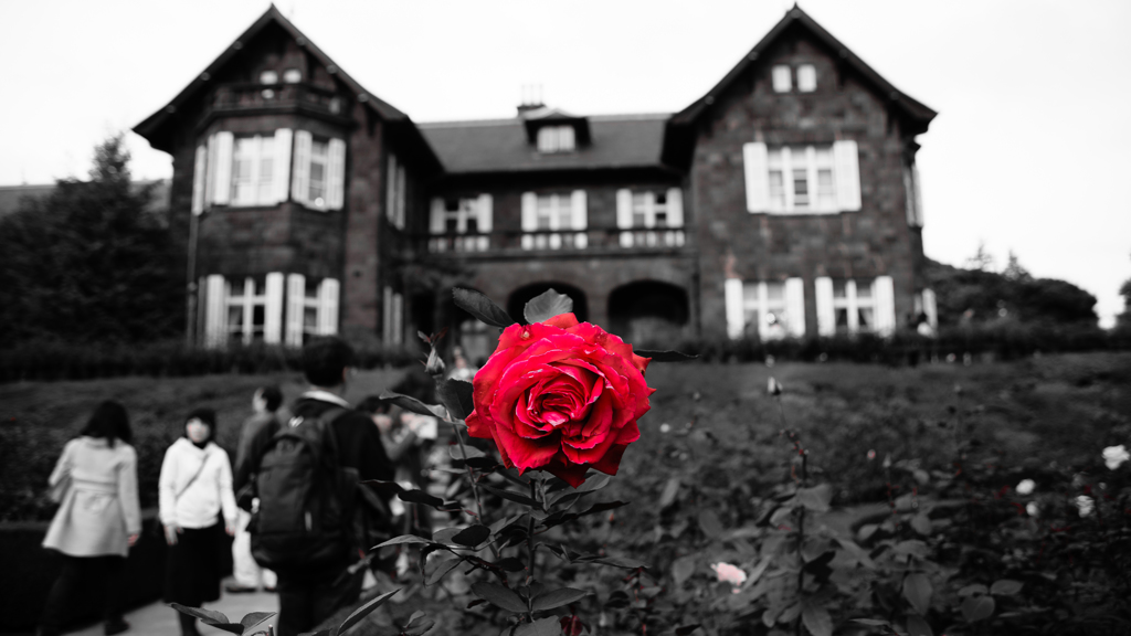 DSC_2652