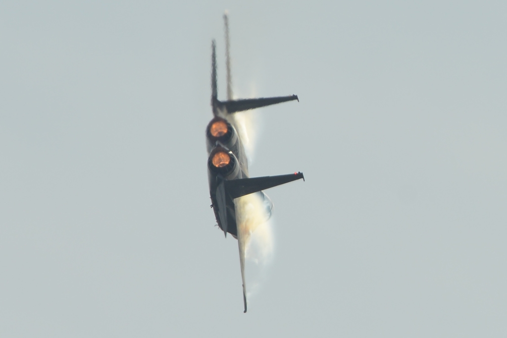DSC_4842