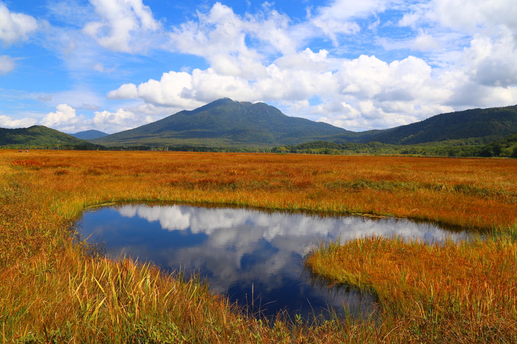 尾瀬ヶ原より燧ヶ岳