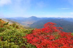 至仏山より