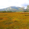 尾瀬ヶ原より至仏山