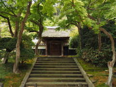 円覚寺　居士林