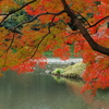 庭園の秋景色