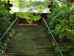 鎌倉散策　妙本寺